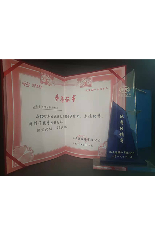 桐乡市比亚迪2018优秀经销商