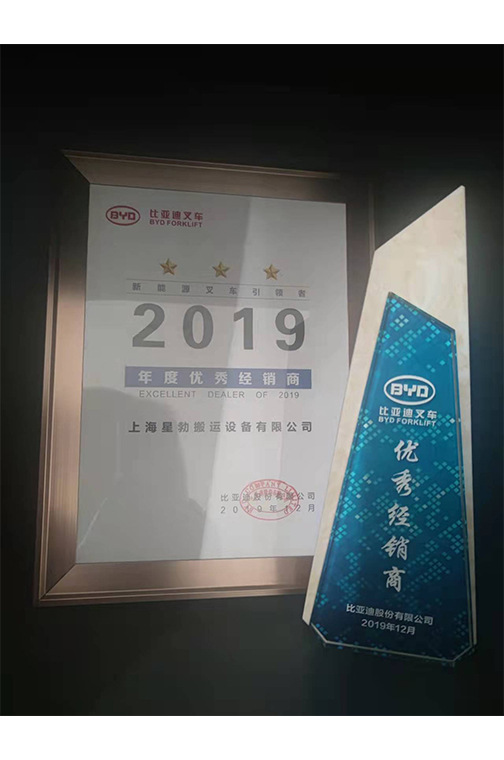 桐乡市比亚迪2019优秀经销商
